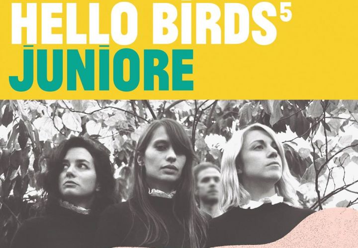 Juniore rejoint la programmation de Hello Birds!